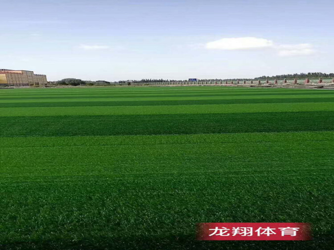 足球場(chǎng)人造草施工方案