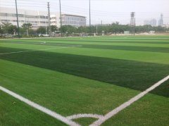 足球場(chǎng)人造草——廣東伊之密體育公園